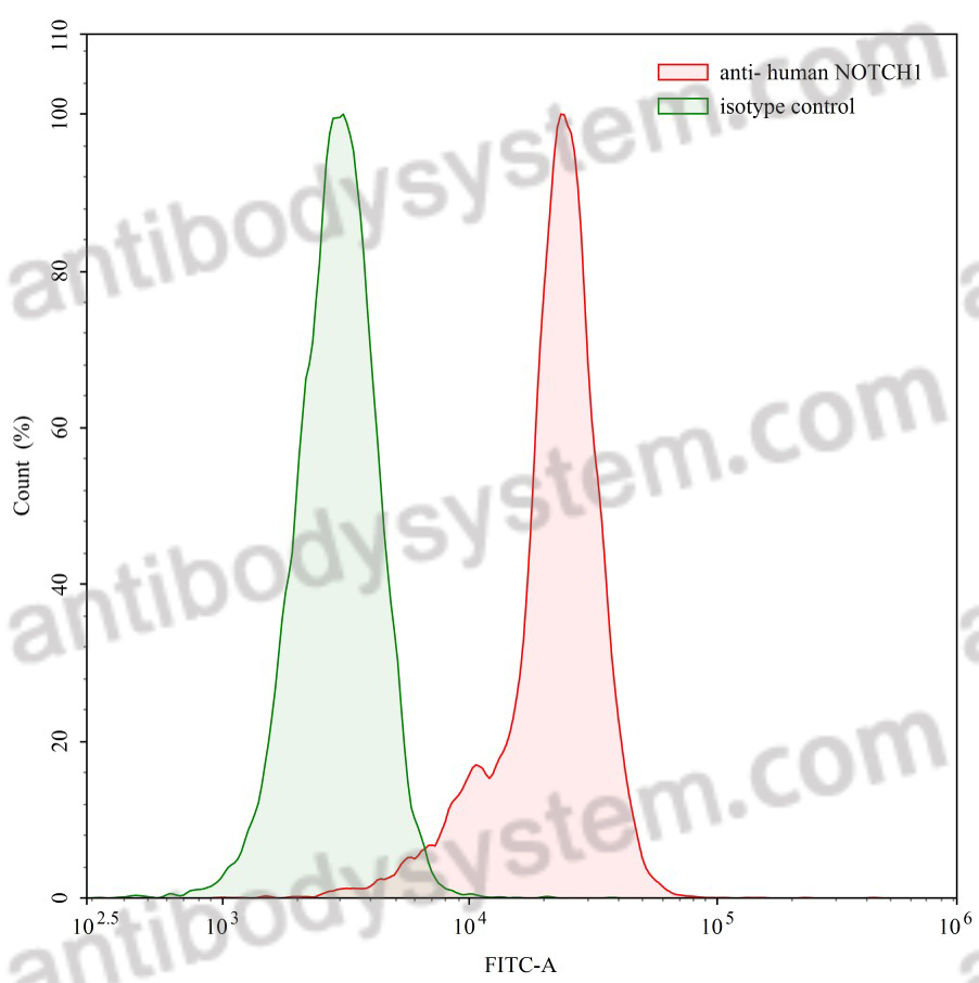 Anti-Human NOTCH1 Antibody (SAA0131)