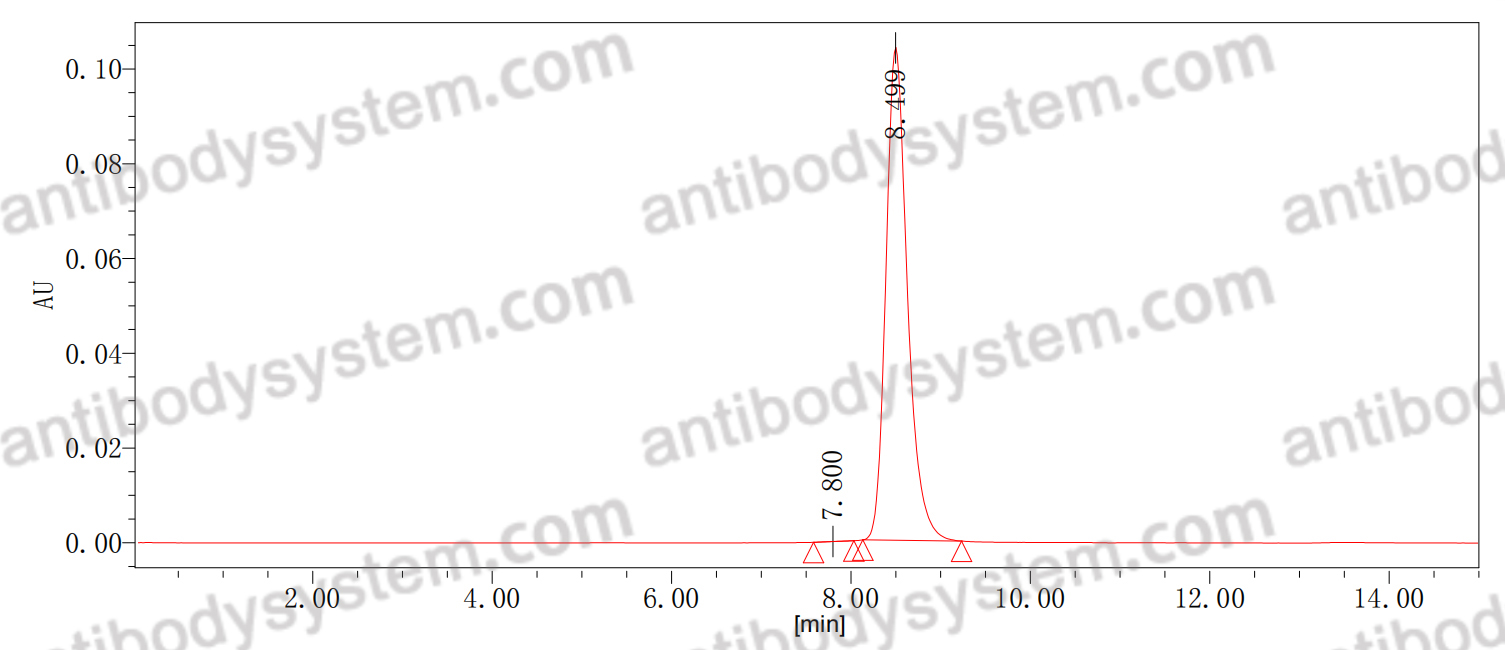 Anti-Human CD193/CCR3 Antibody (5E8-G9-B4)