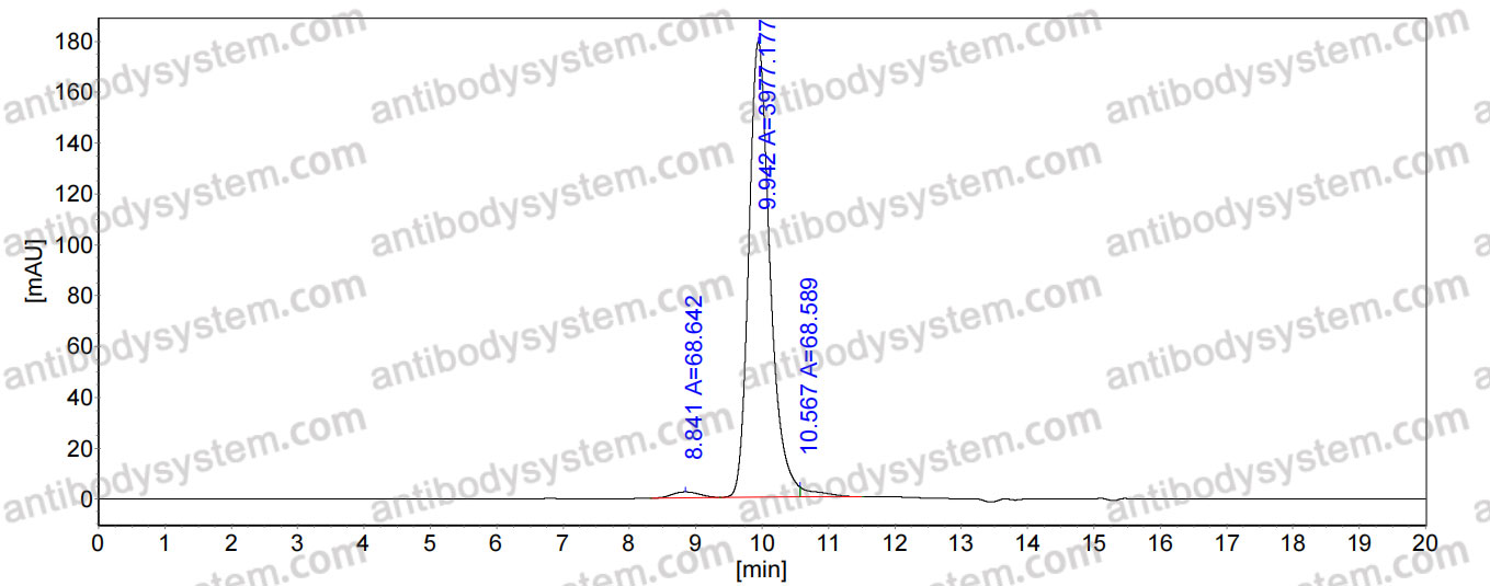 Anti-Human LOX-1 Antibody (15C4)