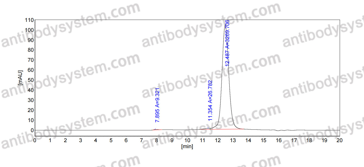 Anti-Human CD137/TNFRSF9 Antibody (SAA0054)
