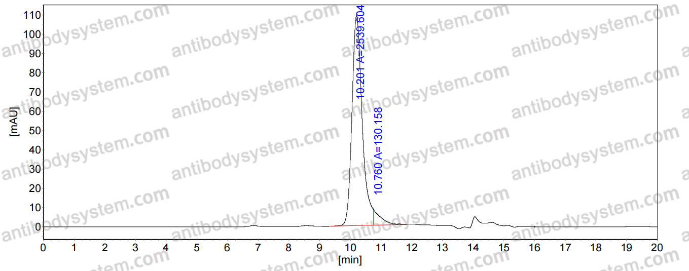 Anti-Human SLC1A5 Antibody (SAA0181), APC