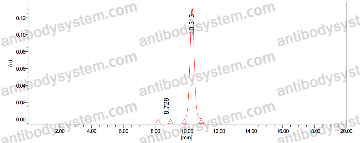 Anti-Human NCR3LG1/B7-H6 Antibody (SAA2025)