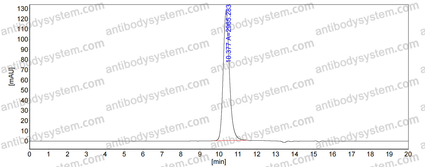 Anti-Human CD352/SLAMF6 Antibody (SAb2289)