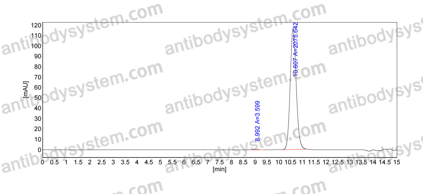 Anti-Human CD268/TNFRSF13C Antibody (VAY-736)