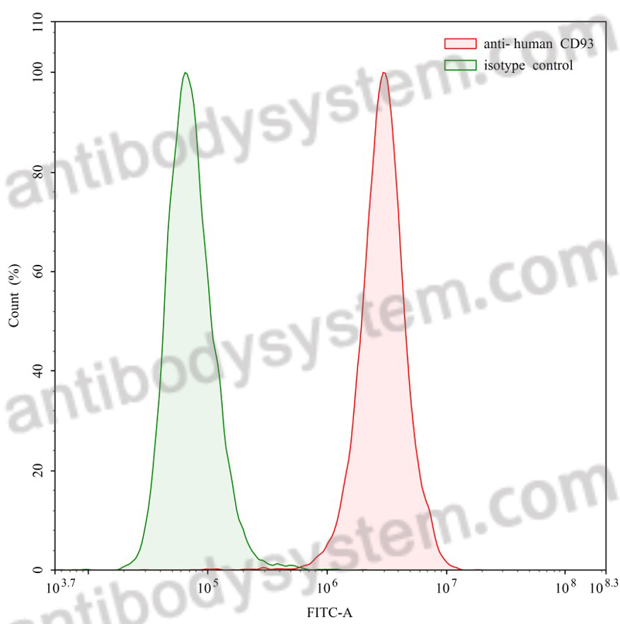 Anti-Human CD93/C1qR Antibody (070-016)