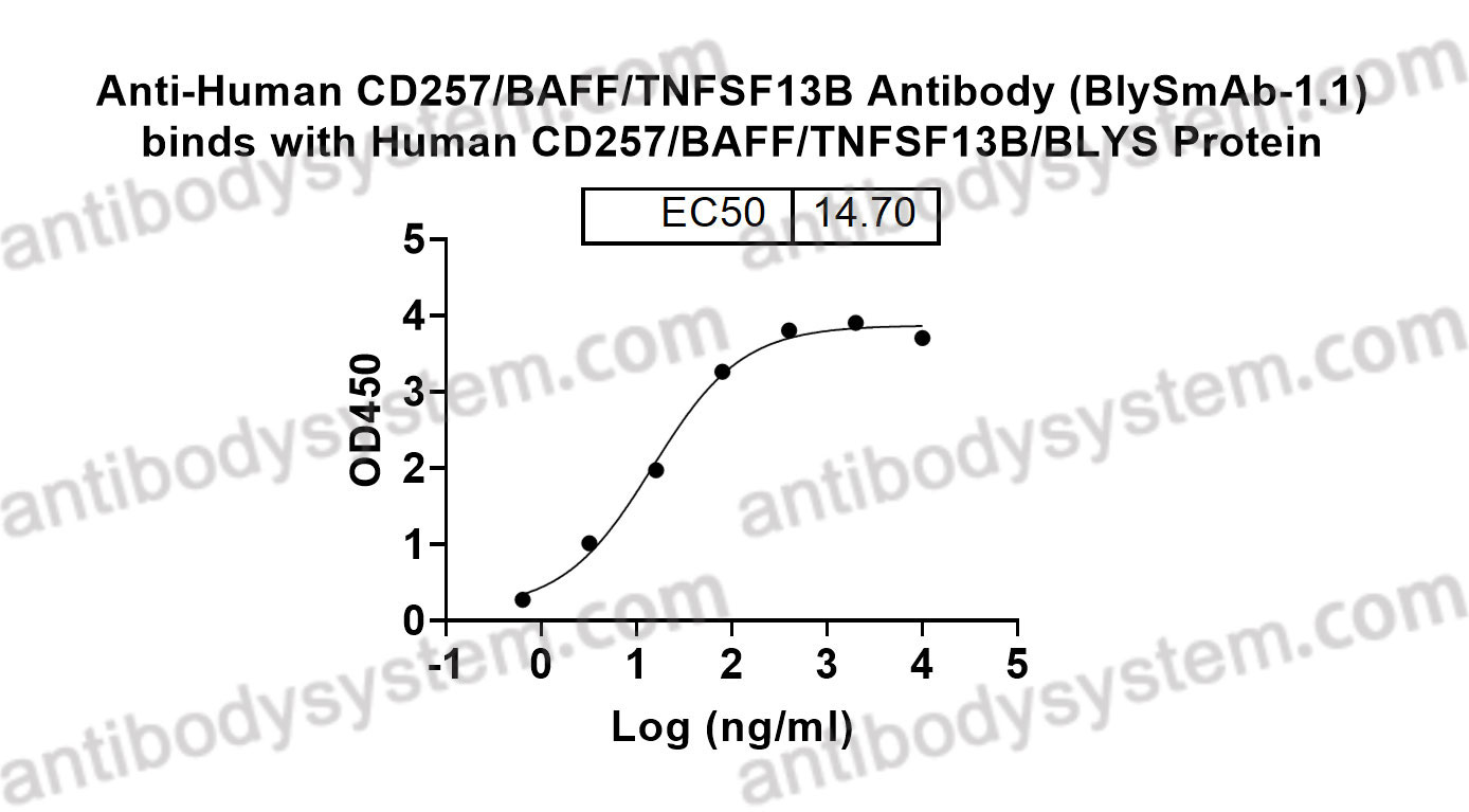 Anti-Human CD257/BAFF/TNFSF13B Antibody (BlySmAb-1.1)
