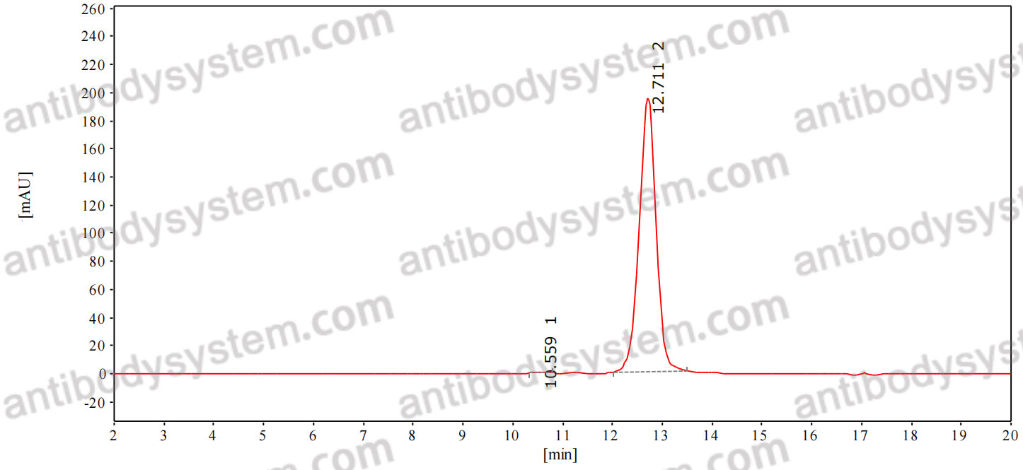 Anti-Human TMIGD2/CD28H/IGPR1 Antibody (SAA0319)
