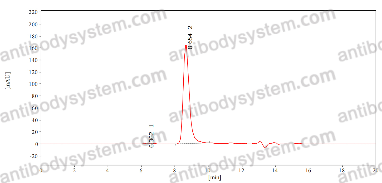 SEC-HPLC for Anti-Human HHLA2 Antibody (2D3) ?>