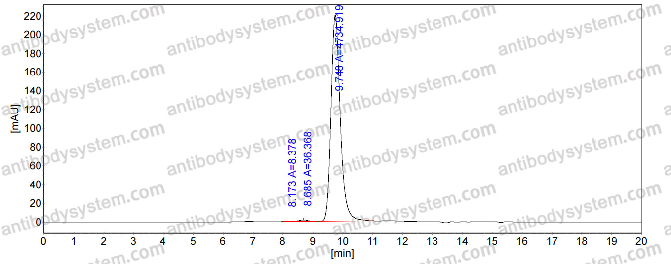 Anti-Human STEAP2 Antibody (SAA2102)