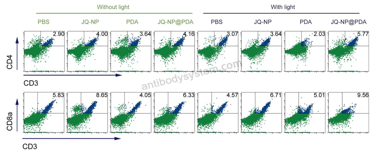 Anti-Mouse CD8a/Lyt2 Antibody (2.43), PE