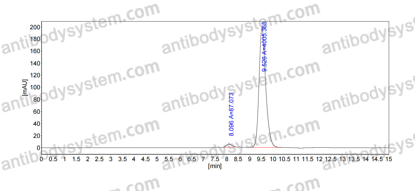 Anti-Mouse CD11b/ITGAM Antibody (DC13)