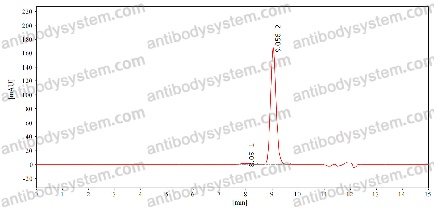 Anti-Mouse CDw210b/IL10RB Antibody (SAA2105)