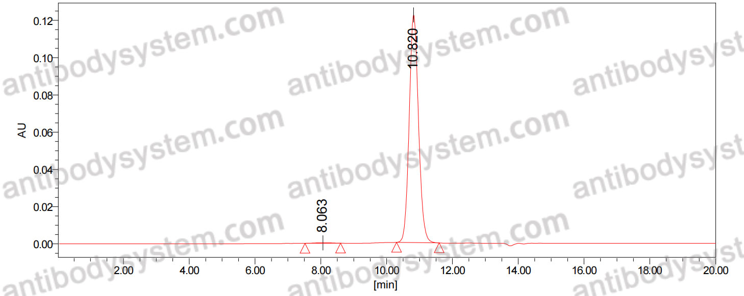 Anti-Mouse TCR αβ/alpha-beta TCR Antibody (Desire-1)