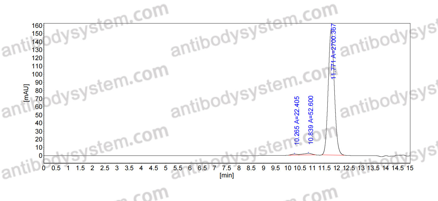 Anti-Pig CD13/ANPEP/APN Antibody (3L94)