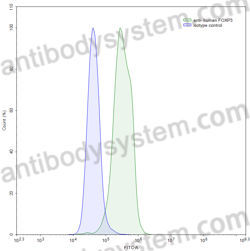 Anti-Human FOXP3 Monoclonal Antibody (1A208)