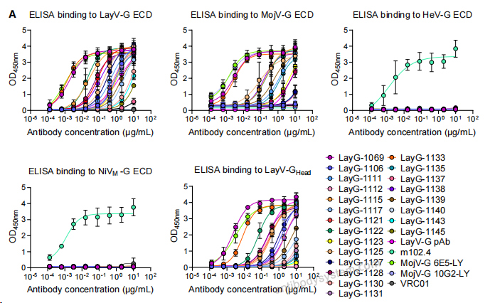 Bioactivity for Anti-Langya virus/LayV G/Glycoprotein Polyclonal Antibody ?>