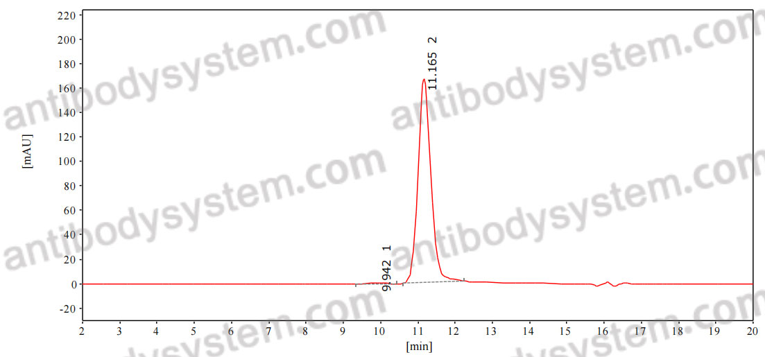 Anti-6*His Tag (HHHHHH) Antibody (SAb2346)