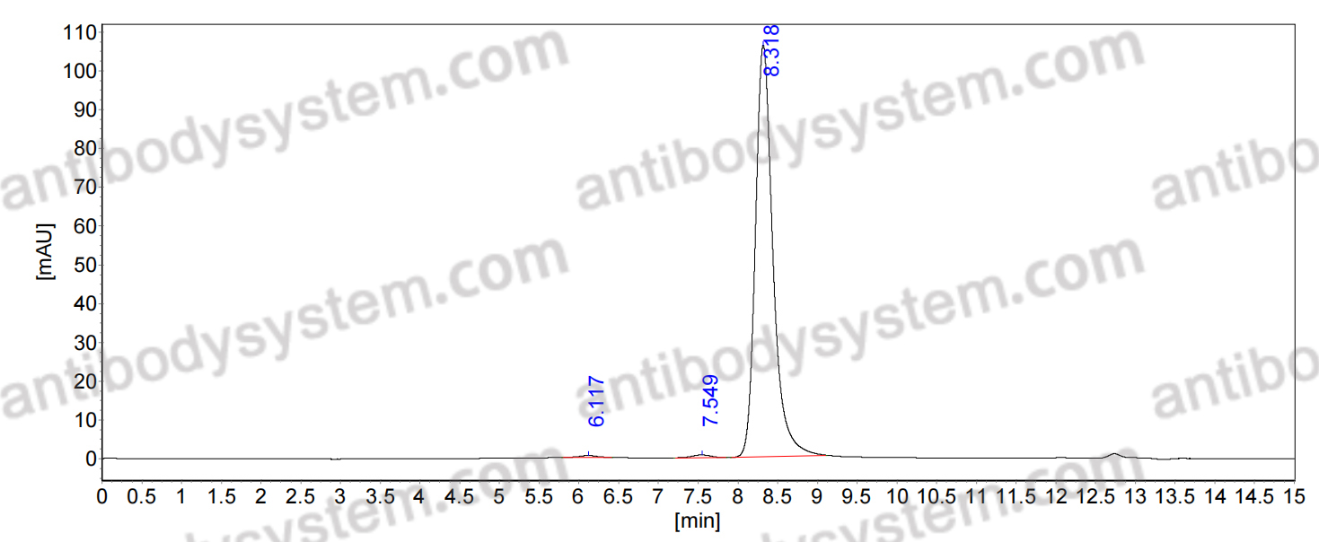 Anti-ssDNA Antibody (S1-15)