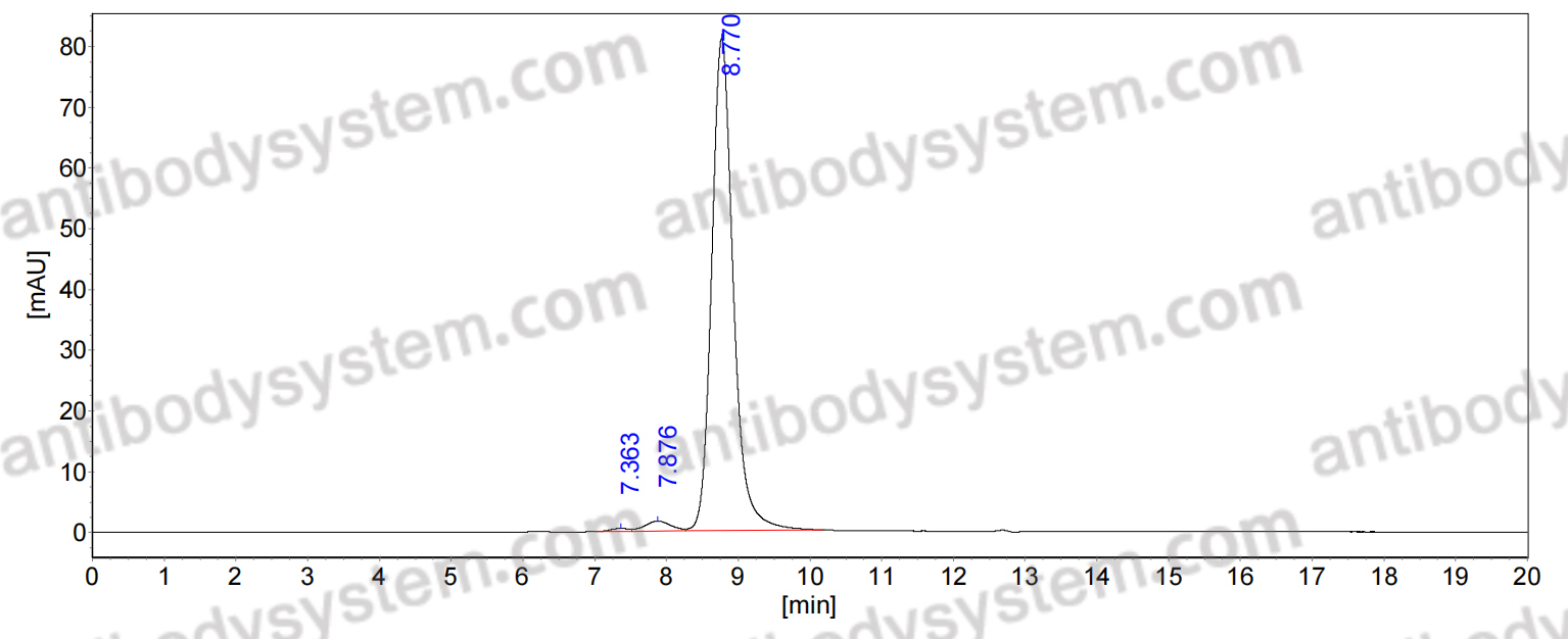 Anti-6,4DNA/6-4PPs Antibody (64M-5)