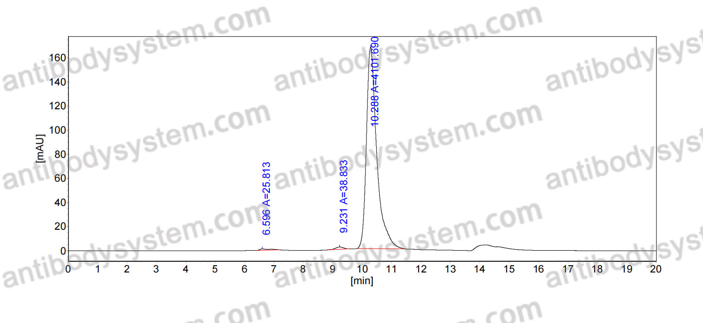 Anti-dsRNA Antibody (1D3)