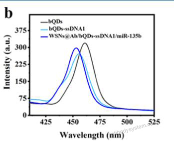Bioactivity for Anti-DNA-RNA Hybrid Antibody (S9.6) ?>