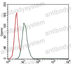Flow Cytometry for Anti-HAS3 Antibody (R2T25) ?>