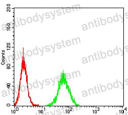 Anti-PGRMC1 Antibody (R2T33)