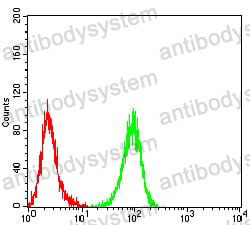 Anti-DFFA Antibody (R2T35)