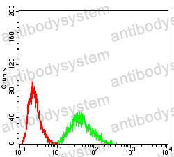 Anti-DDX3X Antibody (R2T57)