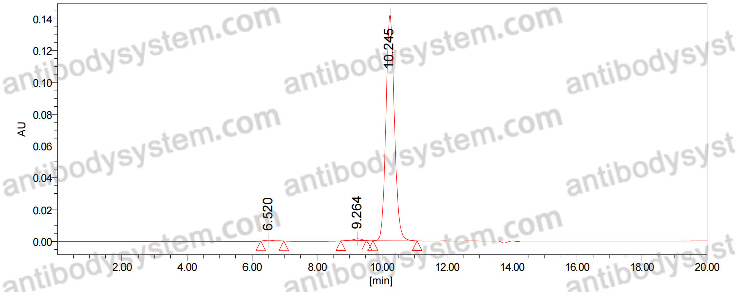 Anti-GABA(A)R, Pi Antibody (N431/64)