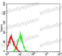 Anti-CD203c/ENPP3 Antibody (R2T78)