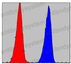 Flow Cytometry for Anti-CHUK Antibody (R2U34) ?>