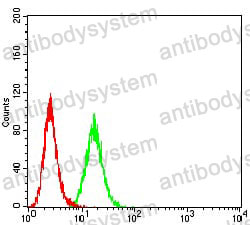 Flow Cytometry for Anti-BCAT2 Antibody (R2U56) ?>