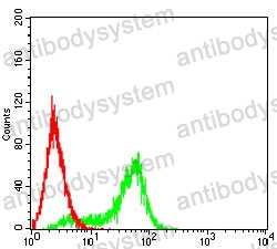 Flow Cytometry for Anti-ABCC3/MRP3 Antibody (R2U63) ?>