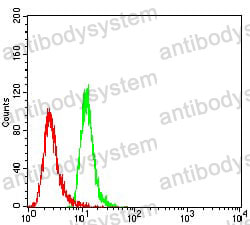 Flow Cytometry for Anti-TBC1D4 Antibody (R2V22) ?>