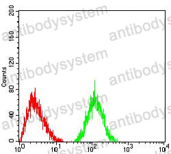 Flow Cytometry for Anti-LRP4 Antibody (R2V52) ?>