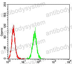Anti-NR1I2 Antibody (R2V72)