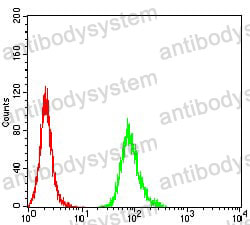 Anti-NR1I2 Antibody (R2V71)