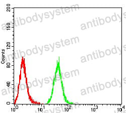Anti-IDH1 Antibody (R2V90)