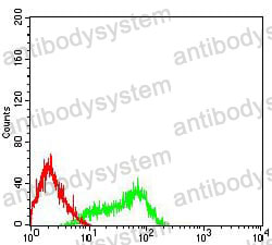 Anti-CD335/NCR1/NKp46 Antibody (R2W01)