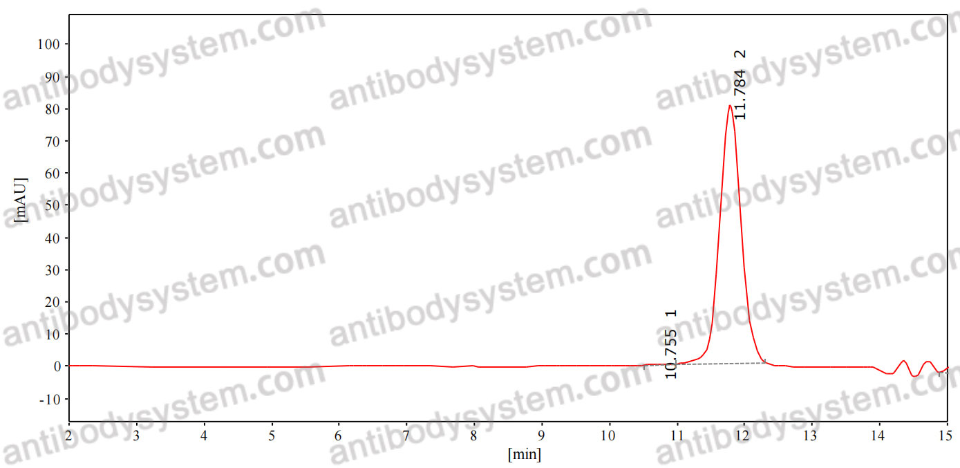 Anti-PSD-95 Antibody (K28/43)