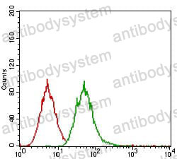 Anti-EGFR/ERBB1/HER1 Antibody (R2W75)