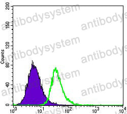 Anti-APOE Antibody (R2X96)
