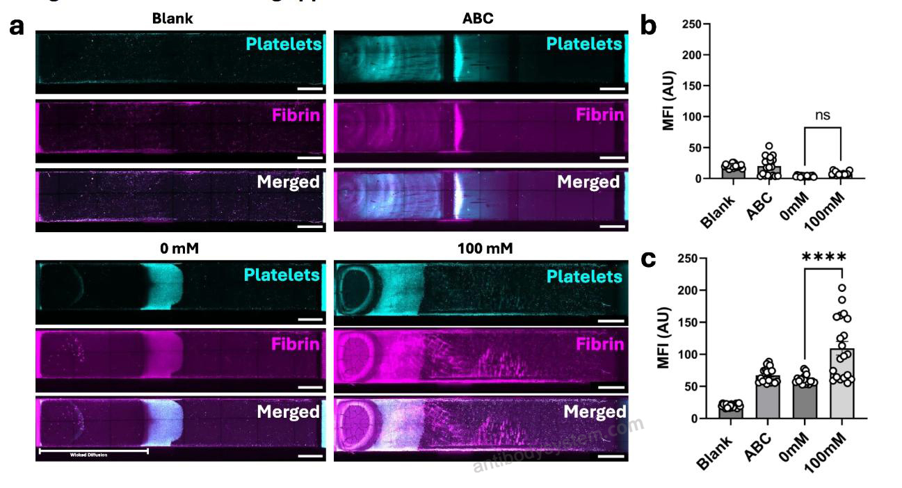 Immunofluorescence for Anti-Human Fibrin Antibody (59D8) ?>