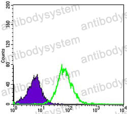 Flow Cytometry for Anti-MMP1 Antibody (R3A68) ?>