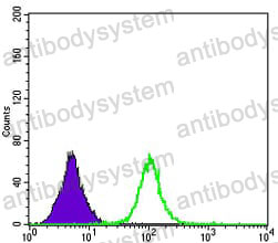 Anti-APOB Antibody (R2Y57)