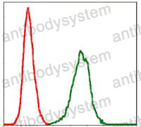Flow Cytometry for Anti-SERPINE1/PAI-1 Antibody (R2Z08) ?>