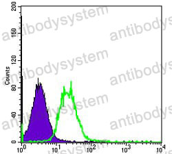Flow Cytometry for Anti-FYN Antibody (R2Z60) ?>