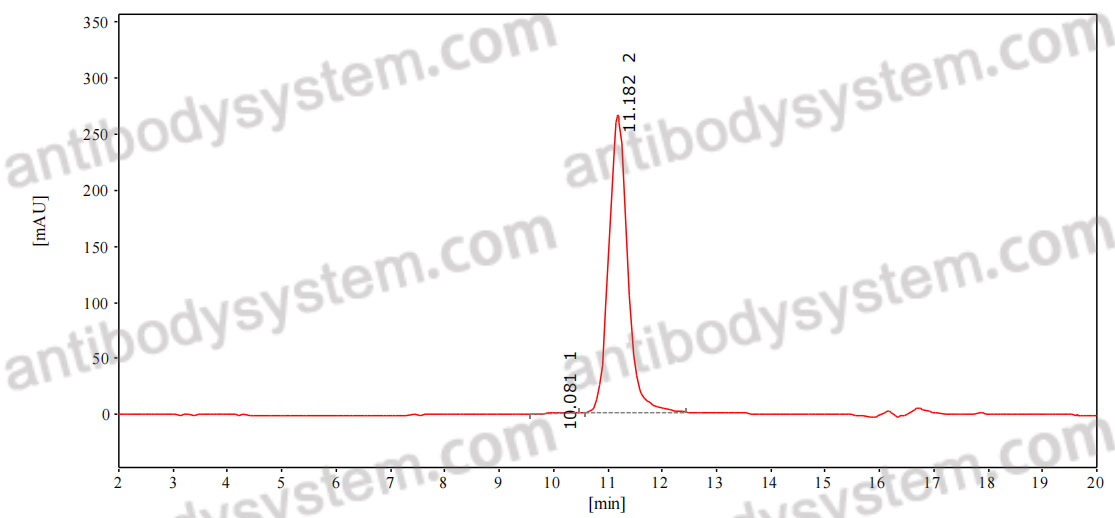 Anti-Human CD3 Antibody (Fs0334)