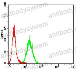 Flow Cytometry for Anti-ELANE Antibody (R3A66) ?>